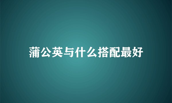 蒲公英与什么搭配最好
