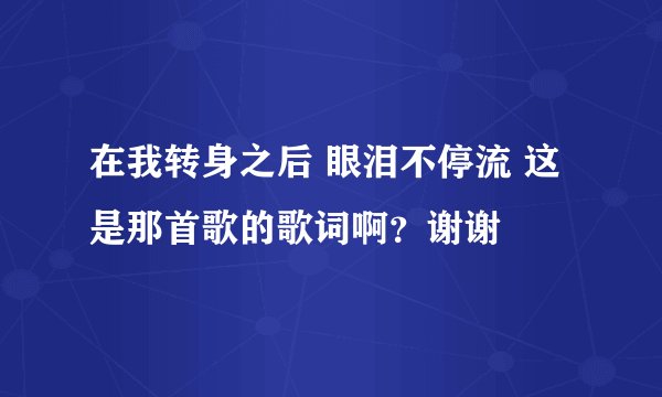 在我转身之后 眼泪不停流 这是那首歌的歌词啊？谢谢