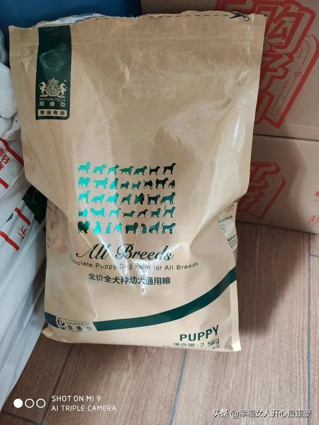 养一只柯基一年大概要多少钱？