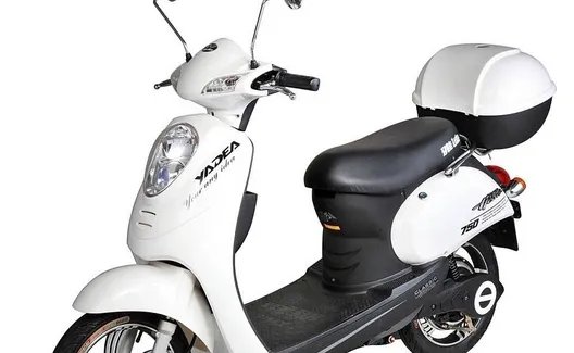 十大杂牌电动车排名