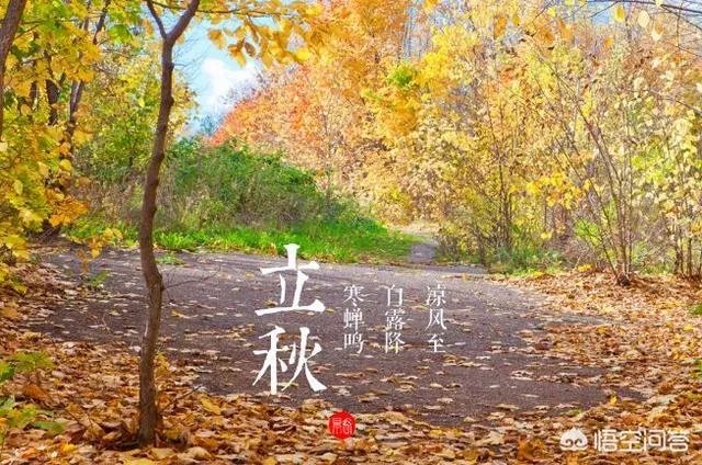 立秋写一首小诗