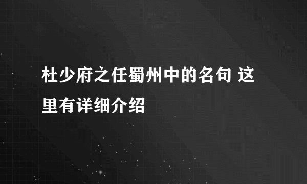 杜少府之任蜀州中的名句 这里有详细介绍