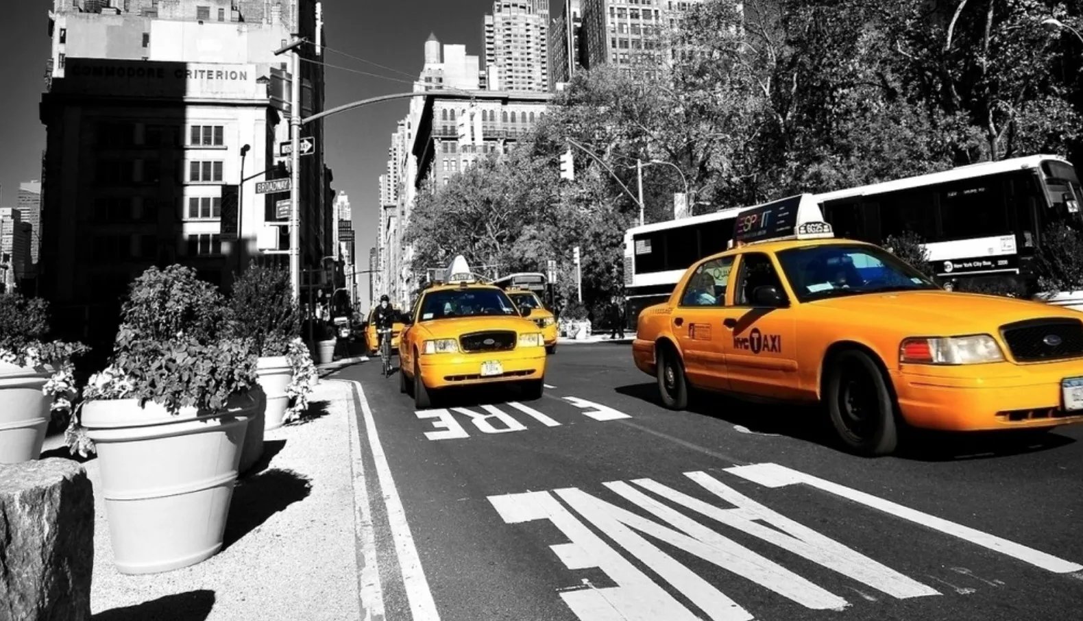 2017，我们共建长沙家居建材口碑圈