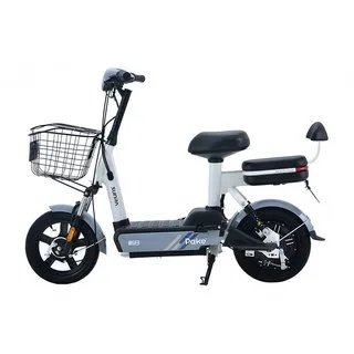 新日电动车电池价格