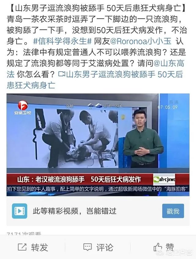 男子喂流浪狗却赔钱，这是怎么回事？