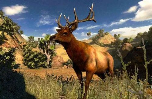 打猎的游戏有哪些