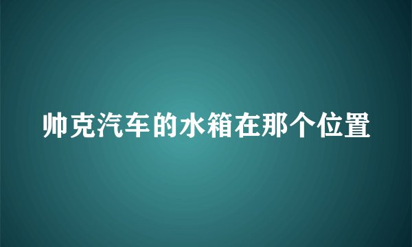 帅克汽车的水箱在那个位置