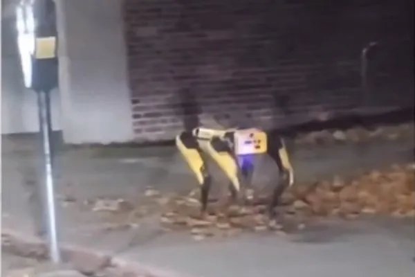 机器狗夜晚独自在街头游荡,现场看到的人是何反应?