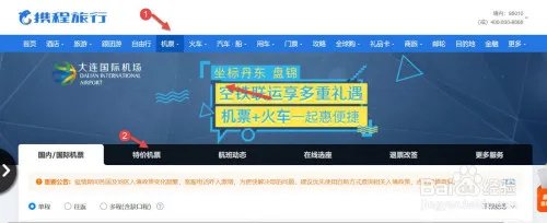 查询特价飞机票