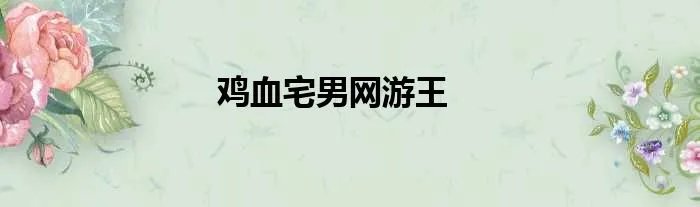 鸡血宅男网游王