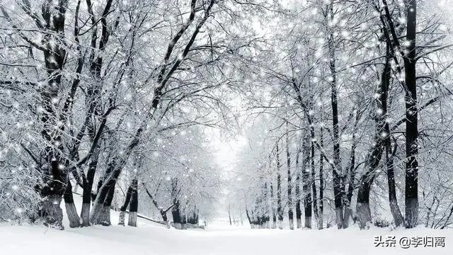 疫情第二波今年冬天还会来吗？在国内我们需要怎样预防？