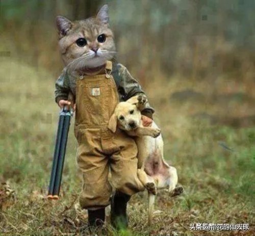 人人App宣告正式回归，我们的青春有处安放了吗？