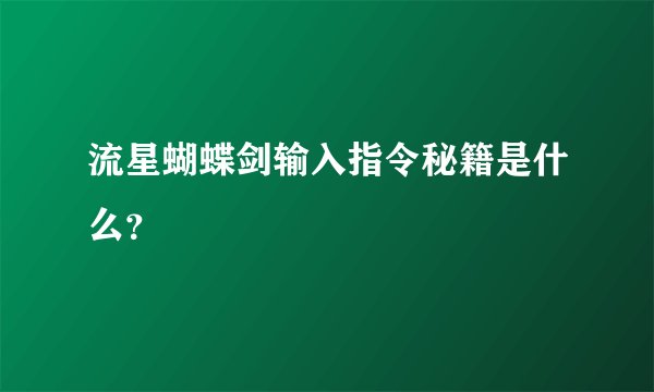 流星蝴蝶剑输入指令秘籍是什么？