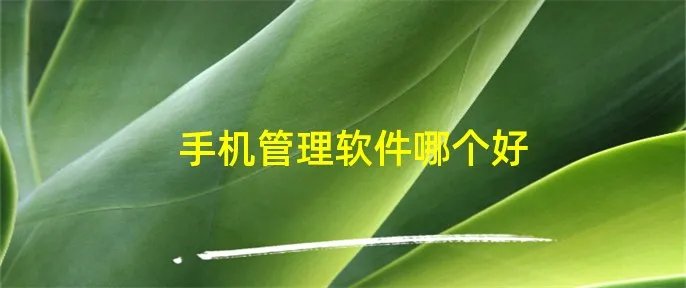手机管理软件哪个好