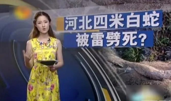 云梦山白蛇渡劫失败被雷劈死：竟被野猪吃掉