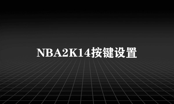 NBA2K14按键设置