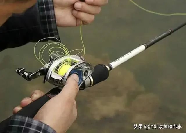 谁可以分享一下路亚钓鱼技巧？