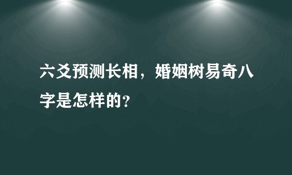 六爻预测长相，婚姻树易奇八字是怎样的？