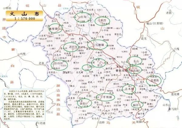 文山市有几个区