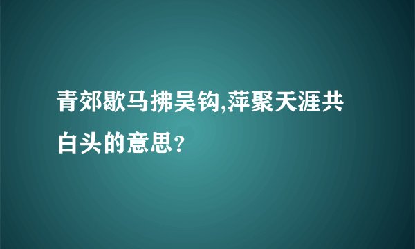 青郊歇马拂吴钩,萍聚天涯共白头的意思？
