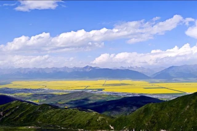 青海门源你去过吗？