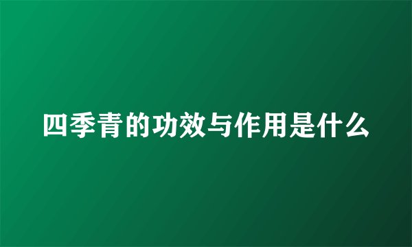 四季青的功效与作用是什么