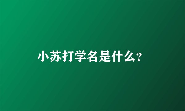 小苏打学名是什么？