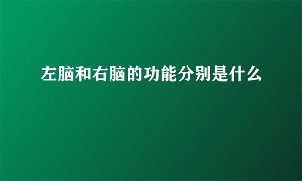 左脑和右脑的功能分别是什么