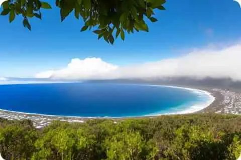 曾国藩后人都是做什么的