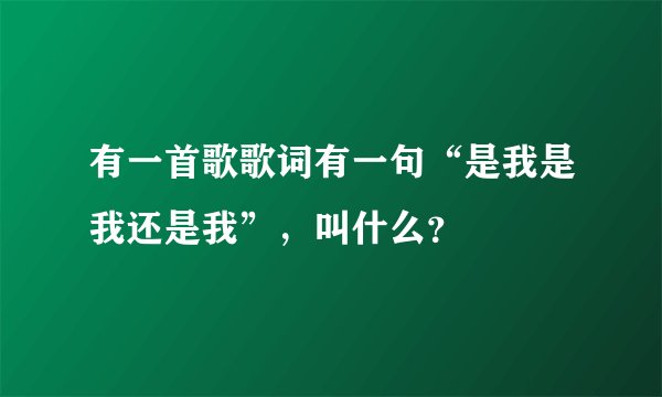 有一首歌歌词有一句“是我是我还是我”，叫什么？