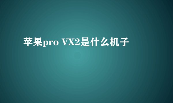 苹果pro VX2是什么机子