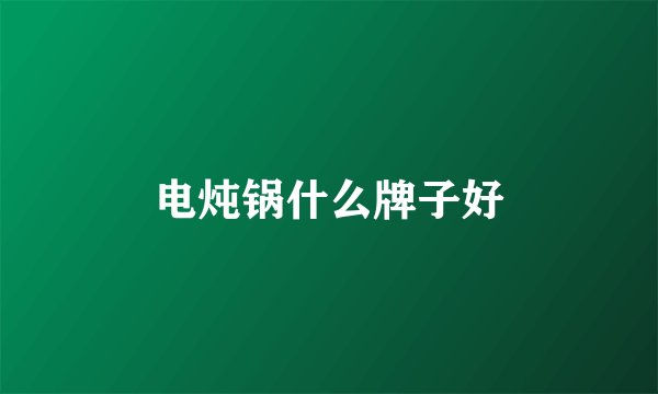 电炖锅什么牌子好
