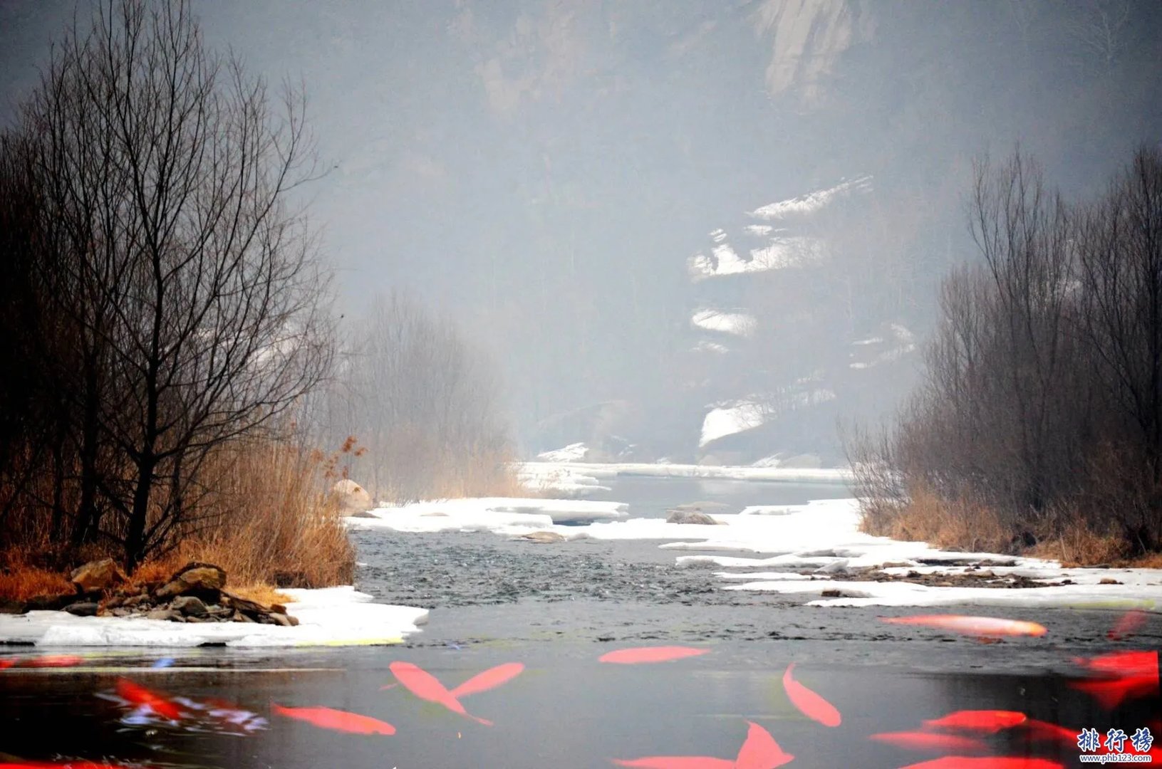 2018年立春是哪一天 春分和立春的区别是什么