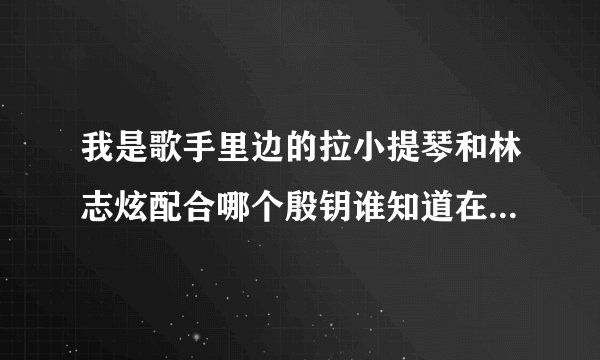 我是歌手里边的拉小提琴和林志炫配合哪个殷钥谁知道在那找到她资料啊？
