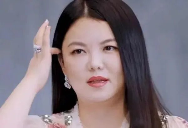 李湘为什么这么有钱