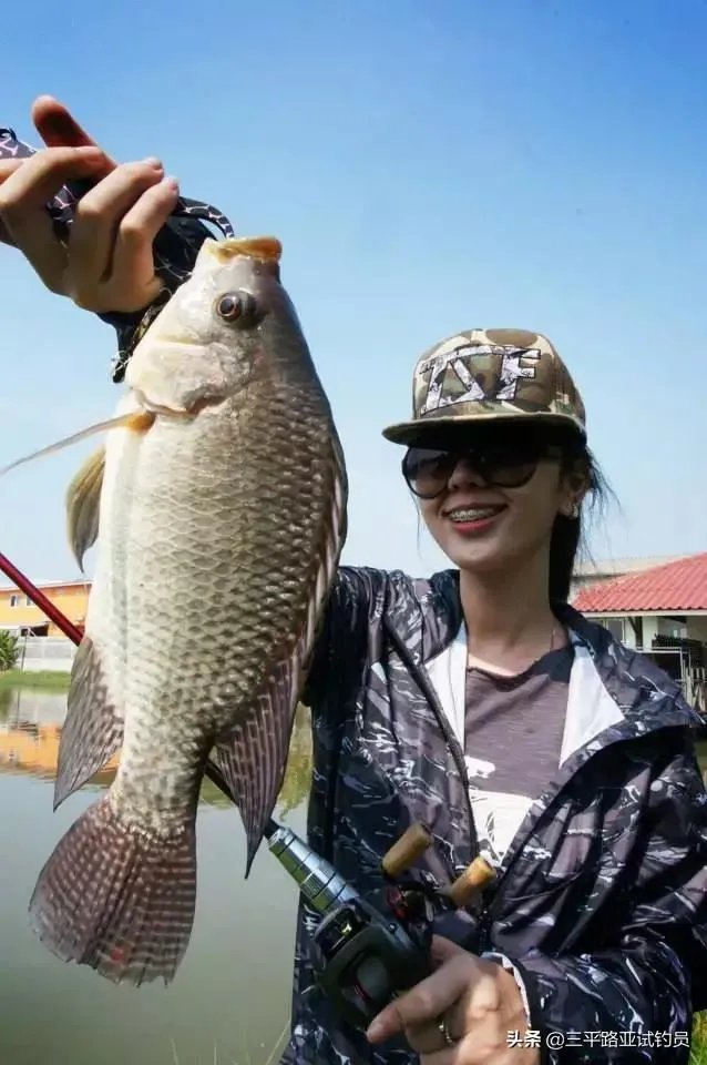 谁可以分享一下路亚钓鱼技巧？