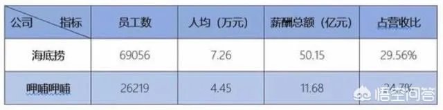 火锅双雄的拉力赛中，火锅中的“小米”呷哺为何被甩很远？