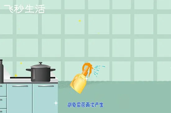 墙壁发霉怎么处理