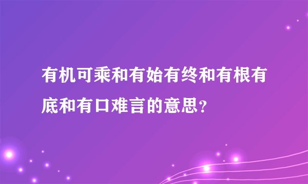 有机可乘和有始有终和有根有底和有口难言的意思？