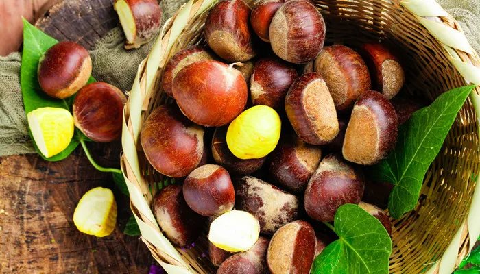 栗子花味是什么梗