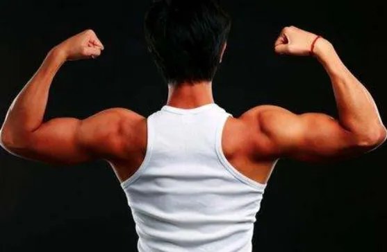 相对力量与绝对力量的意思