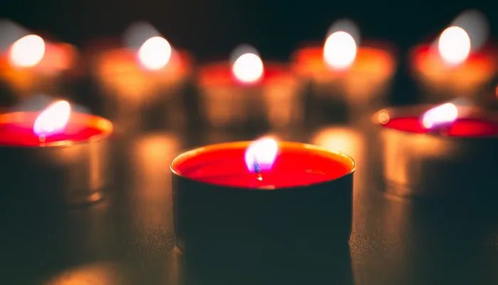 感恩手抄报内容 感恩手抄报内容字怎么写