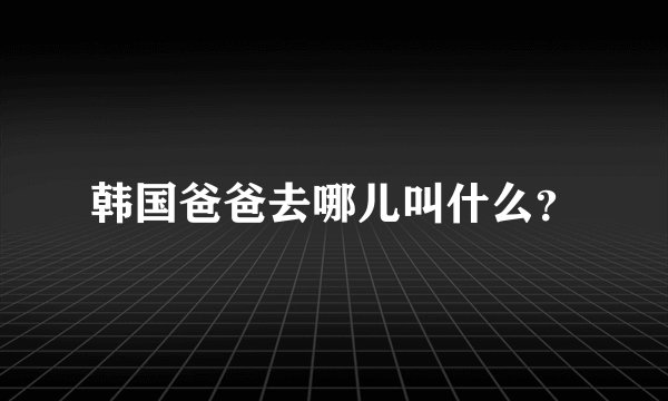 韩国爸爸去哪儿叫什么？