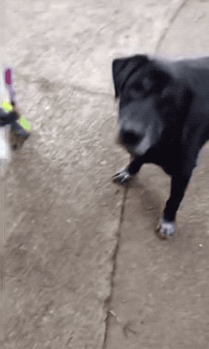 周五福利囧图云飞系列 炎炎夏日美女需要点清凉！