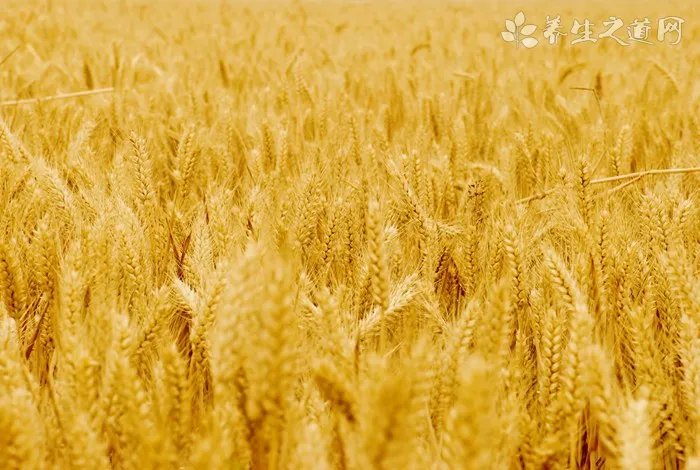 2018年犯太岁的五大生肖 2018狗年犯太岁化解方法