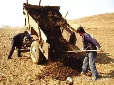 如何处理畜禽粪便?