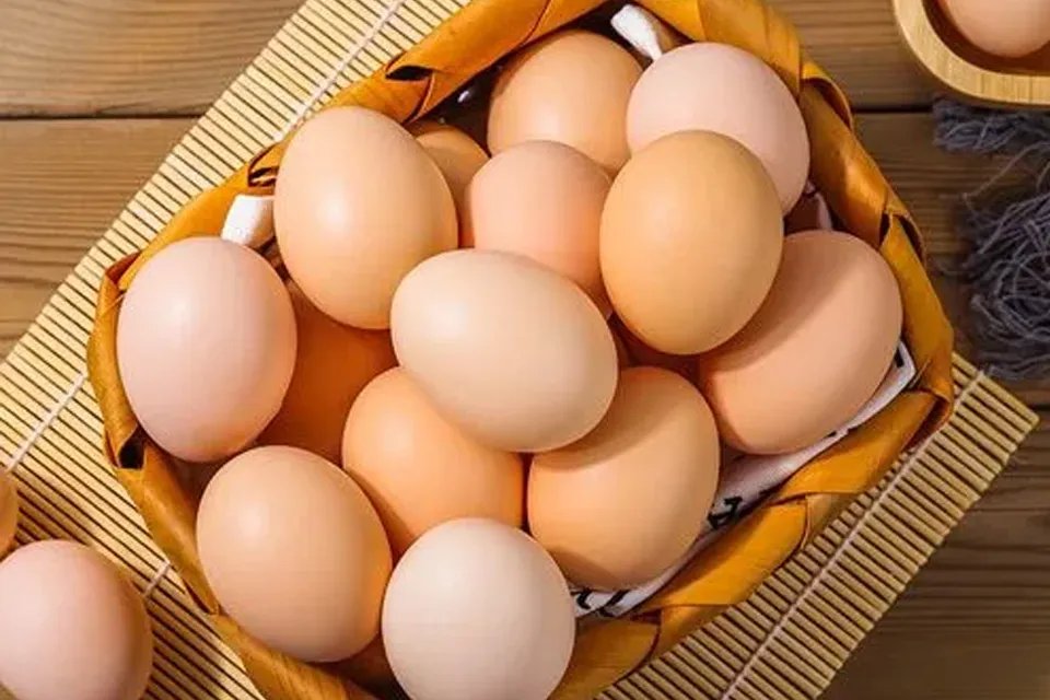 保洁蛋是什么鸡蛋 鸡蛋是高热量食物吗