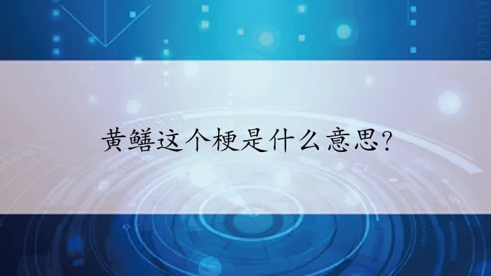 黄鳝这个梗是什么意思？