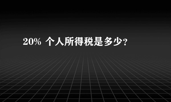 20% 个人所得税是多少？