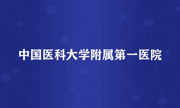 中国医科大学附属第一医院
